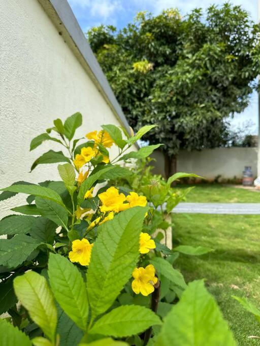 Krishna Homes 班加罗尔 外观 照片